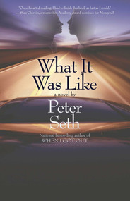 What It Was Like by Peter Seth, 9781611881905