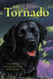 Tornado by Betsy Byars, Doron Ben-Ami, 9780064420631
