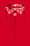 Red Queen Collector's Edition by Victoria Aveyard, 9780062840004
