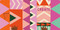 We See Triangles by Andrea Pippins, 9780593815021