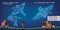 Baby's Guide to the Night Sky by John A. Read, Pumudi Gardiyawasam, Sian Proctor, 9781464230332