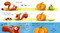 The Pumpkin Thief by Alice Hemming, Nicola Slater, 9781464268076