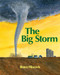 The Big Storm - 9781590786000 - 9781590786000 by Bruce Hiscock, 9781590786000