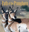 Path of the Pronghorn by Cat Urbigkit, Mark Goeke, 9781590787564