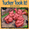 Tucker Took It! by Bruce Van Patter, 9781590786987