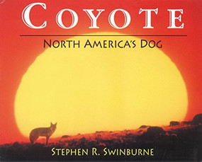 Coyote (North America's Dog) by Stephen R. Swinburne, 9781590784853
