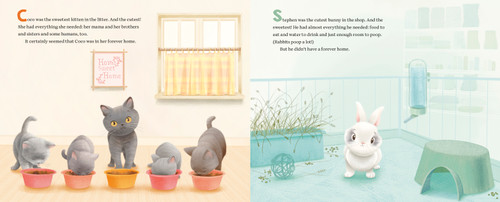 Coco and Stephen, Together Forever (How a Kitten and Bunny Became Best Friends) by Beth Stern, Margaret McNamara, Joanie Stone, 9798217123544