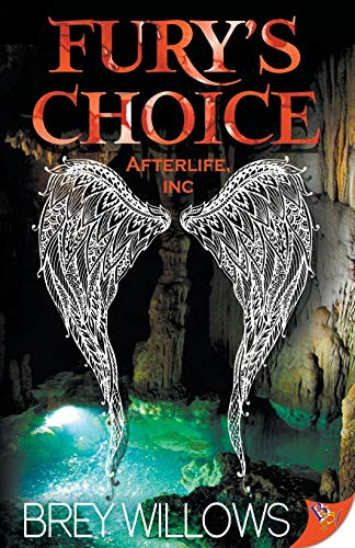 Fury's Choice by Brey Willows, 9781626398696