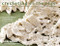Crocheting on the Edge (Ribs & Bobbles*Ruffles*Flora*Fringes*Points & Scallops) by Nicky Epstein, 9781936096893