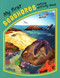 My First Seashores Nature Activity Book by James Kavanagh, Raymond Leung, Waterford Press, 9781583555903