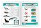 My First Seashores Nature Activity Book by James Kavanagh, Raymond Leung, Waterford Press, 9781583555903