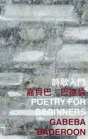 Poetry for Beginners - 9789882370241 - 9789882370241 by Gabeba Baderoon, 9789882370241