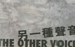 The Other Voice (International Poetry Nights in Hong Kong, 2009 (with DVD)) by Gilbert C. F. Fong, Bei Dao, Shelby K. Y. Chan, 9789629964405