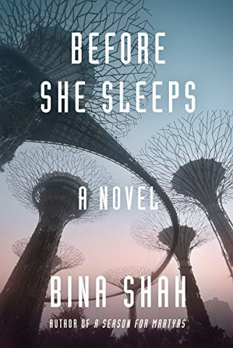 Before She Sleeps by Bina Shah, 9781883285760