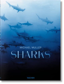 Michael Muller. Requins (French Edition) by Arty Nelson, Dr. Alison Kock, Philippe Cousteau, Jr., Michael Muller, 9783836559652