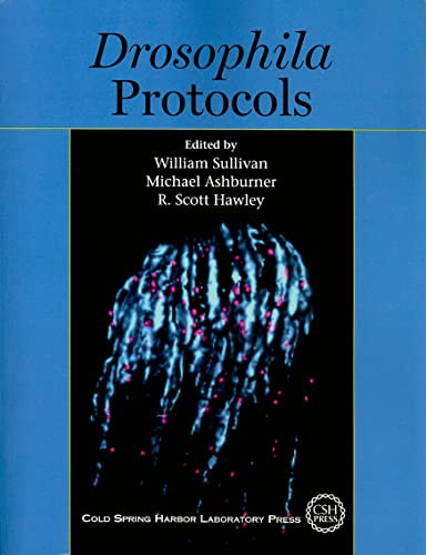 Drosophila Protocols by William Sullivan, Michael Ashburner, R Scott Hawley, 9780879698270