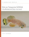 African Turquoise Killifish (Nothobranchius furzeri): A Laboratory Manual by Anne Brunet, 9781621824602