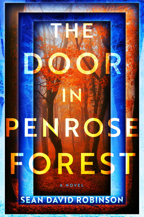 The Door in Penrose Forest (A Novel) by Sean David Robinson, 9798892425964