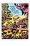 DC Finest: Fourth World: When the Old Gods Die by Jack Kirby, Jack Kirby, 9781799508311