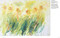 Jean Haines Colour & Light in Watercolour by Jean Haines, 9781782212614