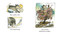 Honey by David Ezra Stein, David Ezra Stein, 9798217239467