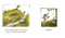Honey by David Ezra Stein, David Ezra Stein, 9798217239467