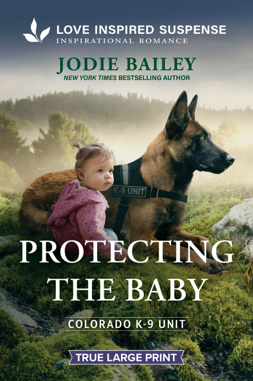 Protecting the Baby by Jodie Bailey, 9781335400451