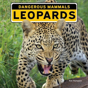 Leopards - 9781978577558 by Kim Thompson, 9781978577558