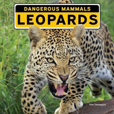 Leopards - 9781978577558 by Kim Thompson, 9781978577558
