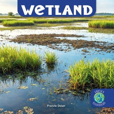 Wetland - 9781978577077 by Francie Dolan, 9781978577077