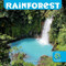 Rainforest - 9781978577053 by Francie Dolan, 9781978577053
