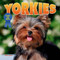Yorkies - 9781978576711 by Dan Lopez, 9781978576711