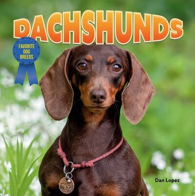 Dachshunds - 9781978576698 by Dan Lopez, 9781978576698