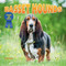 Basset Hounds - 9781978576636 by Dan Lopez, 9781978576636