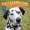 Dalmatians - 9781978576599 by Dan Lopez, 9781978576599