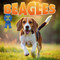 Beagles - 9781978576506 by Dan Lopez, 9781978576506