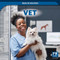 Vet - 9781499456592 by Ursula Pang, 9781499456592