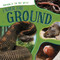 Under the Ground - 9781499455861 by Eliza Nodes, 9781499455861