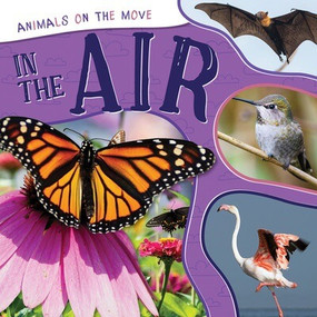 In the Air - 9781499455816 by Eliza Nodes, 9781499455816