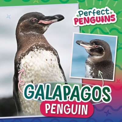 Galapagos Penguin by Bethany Latham, 9781978547414