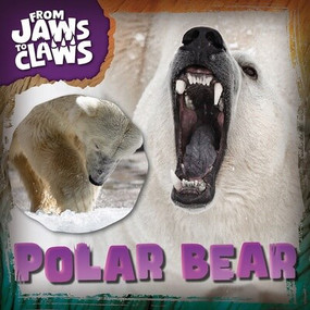Polar Bear - 9781482475975 by Eliza Nodes, 9781482475975