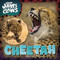 Cheetah by Eliza Nodes, 9781482475913