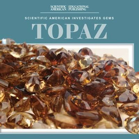 Topaz - 9781538313886 by Beth Gottlieb, 9781538313886