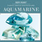 Aquamarine by Beth Gottlieb, 9781538313794