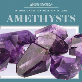 Amethysts - 9781538313763 by Beth Gottlieb, 9781538313763