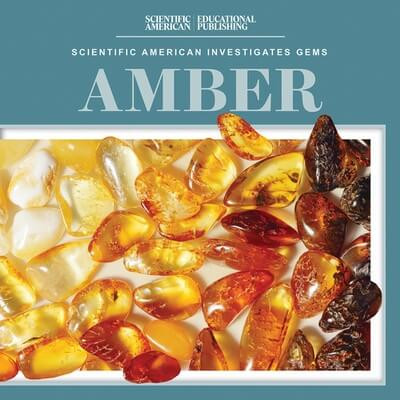 Amber by Beth Gottlieb, 9781538313732