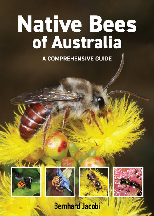 Native Bees of Australia (A comprehensive guide) by Bernhard Jacobi, 9781760796372