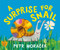 A Surprise for Snail by Petr Horácek, Petr Horácek, 9781536251838