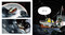 Whale, That Was Unexpected by Casey Lyall, Kathryn Durst, 9781774883617