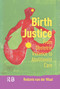 Birth Justice (From Obstetric Violence to Abolitionist Care) by Rodante van der Waal, 9789048563661